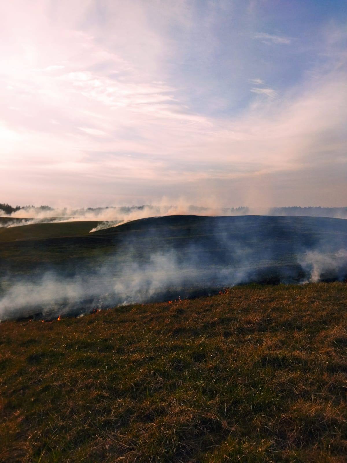 Niedzielny pożar nieużytków – Dębowiec gm. Lelkowo