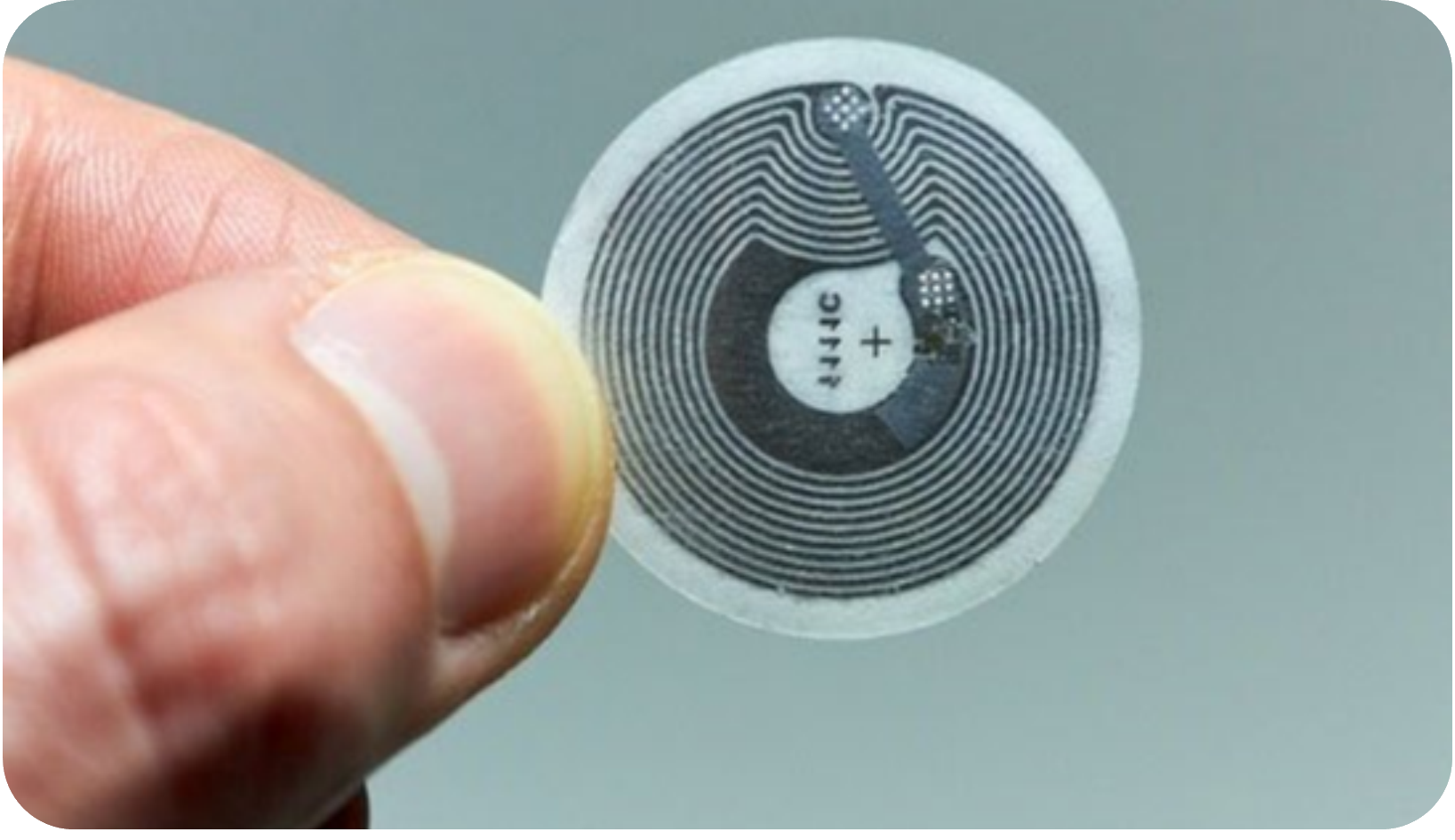 Z palcach trzymany malutki chip komputerowy