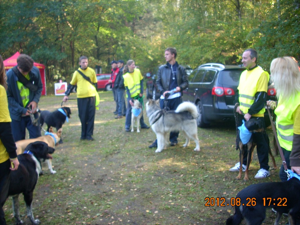 BIEG Z PRZYJACIELEM…