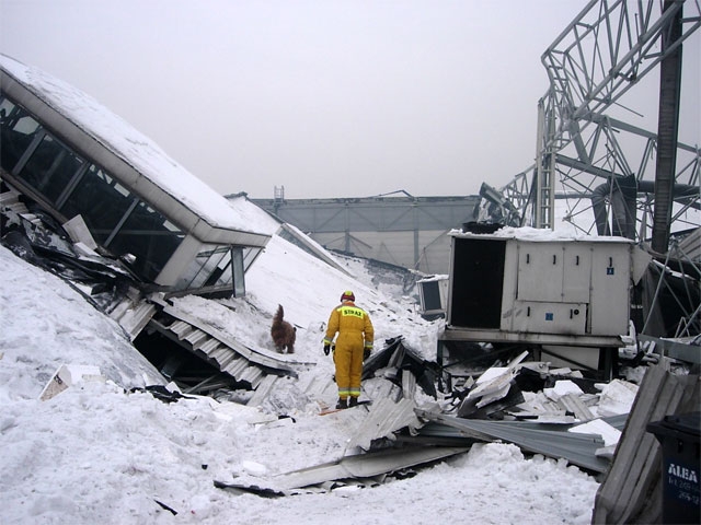 Strażak i pies na gruzowisku przysypanym śniegiem po katastrofie Hali MTK w Chorzowie