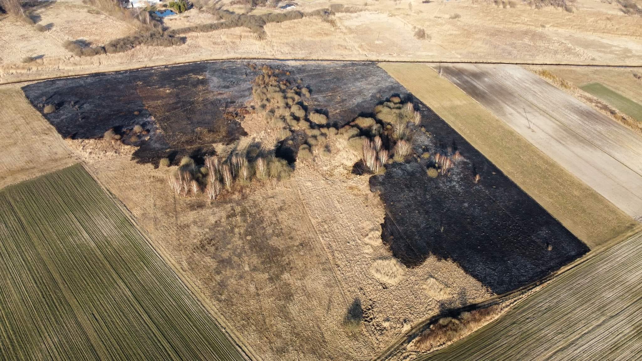 Na zdjęciu z drona pogorzelisko po pożarze traw.
