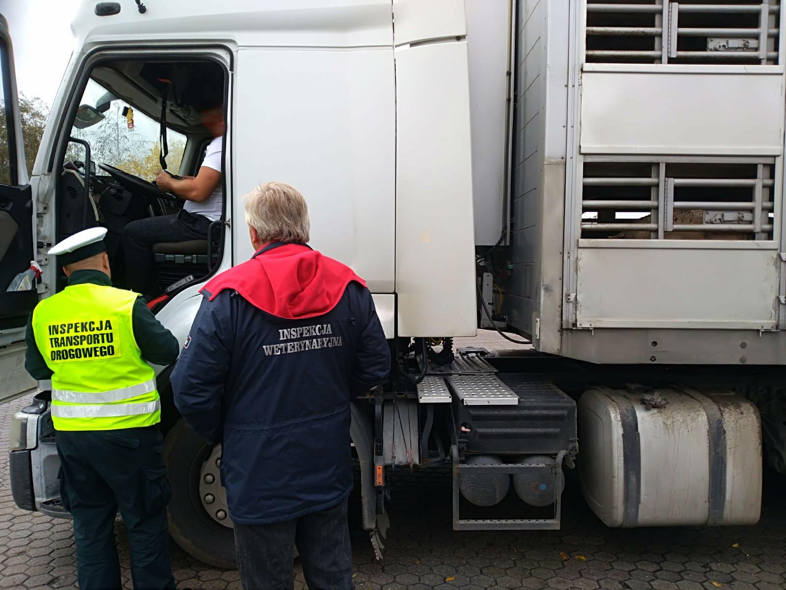Inspektorzy przy kabinie ciężarówki