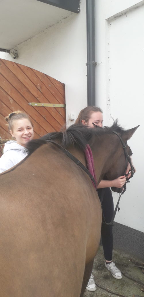 UCZNIOWIE ZSCKR W ZDUŃSKIEJ DĄBROWIE ZADOWOLENI Z ODBYTYCH STAŻY ZAWODOWYCH U PRACODAWCÓW