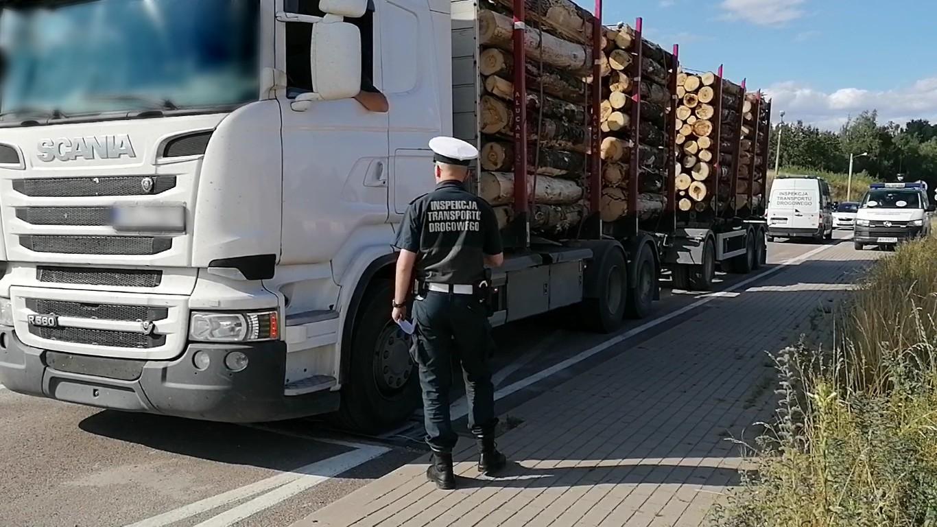 Inspektor stoi obok zatrzymanej do kontroli ciężarówki przewożącej drewno.