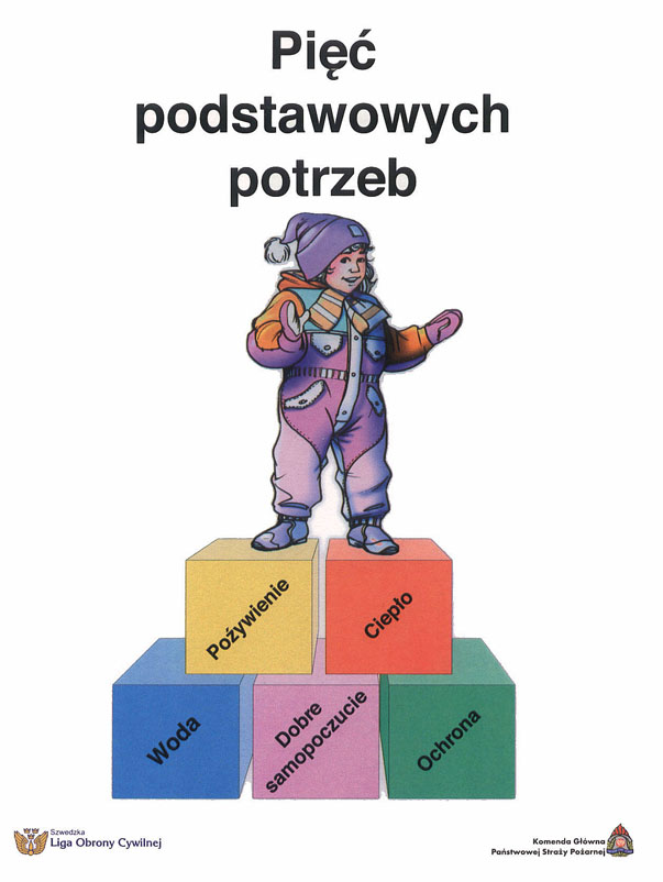 Rys. 1. Pięć podstawowych potrzeb.