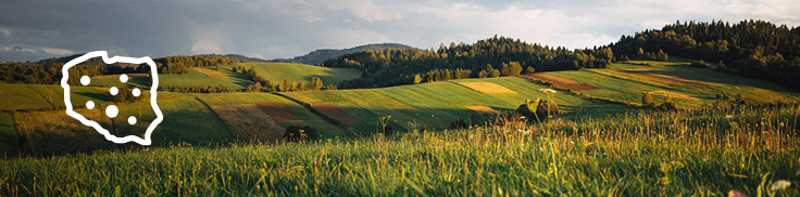 krajobraz działki rolnej