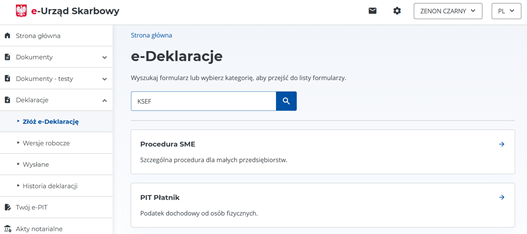 screen ekranu portalu e-US