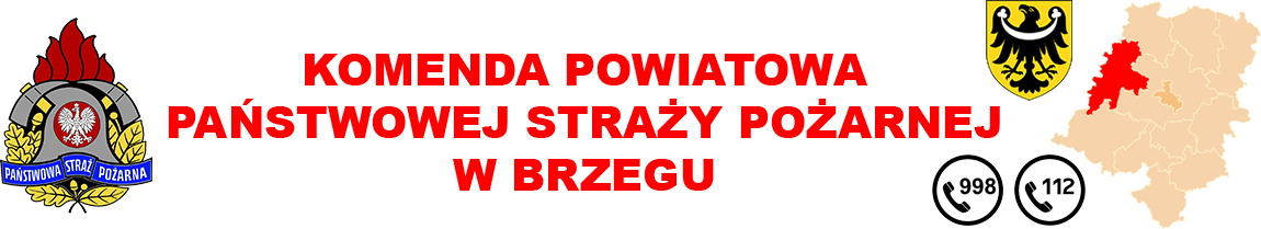 Logo KP PSP Brzeg