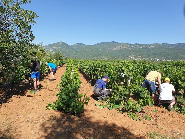 REALIZUJEMY PROJEKT „EUROPEJSKIE PRAKTYKI – DROGA DO KARIERY”