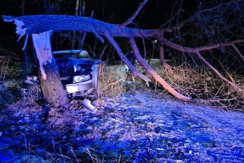 21 stycznia 2022 roku w miejscowości Pruszyn Pieńki (gm. Siedlce) samochód osobowy uderzył w drzewo, w wyniku czego złamało się ono i przewróciło na drogę. 