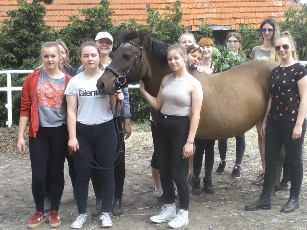 UCZNIOWIE ZSCKR W ZDUŃSKIEJ DĄBROWIE ZDOBYWAJĄ NOWE KWALIFIKACJE ZWIĘKSZAJĄCE ICH SZANSE NA RYNKU PRACY