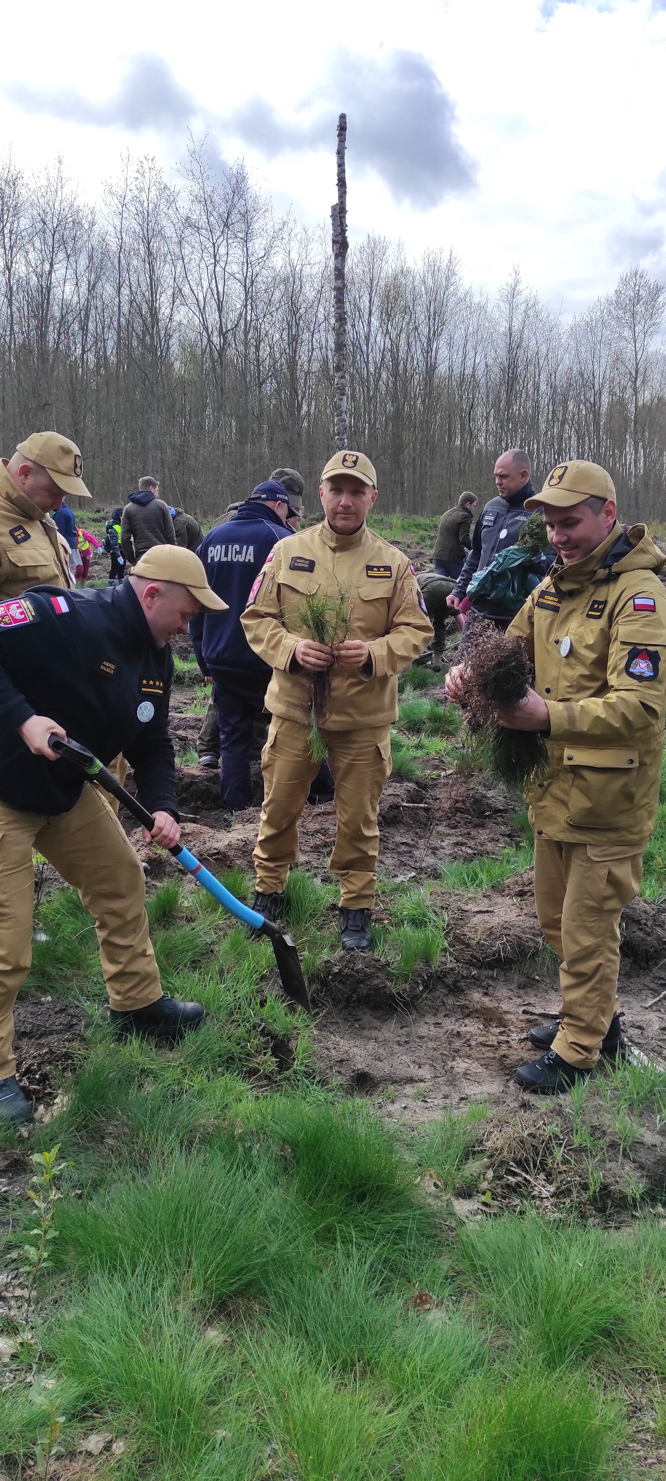 Posadzono LAS PAMIĘCI JANA PAWŁA II