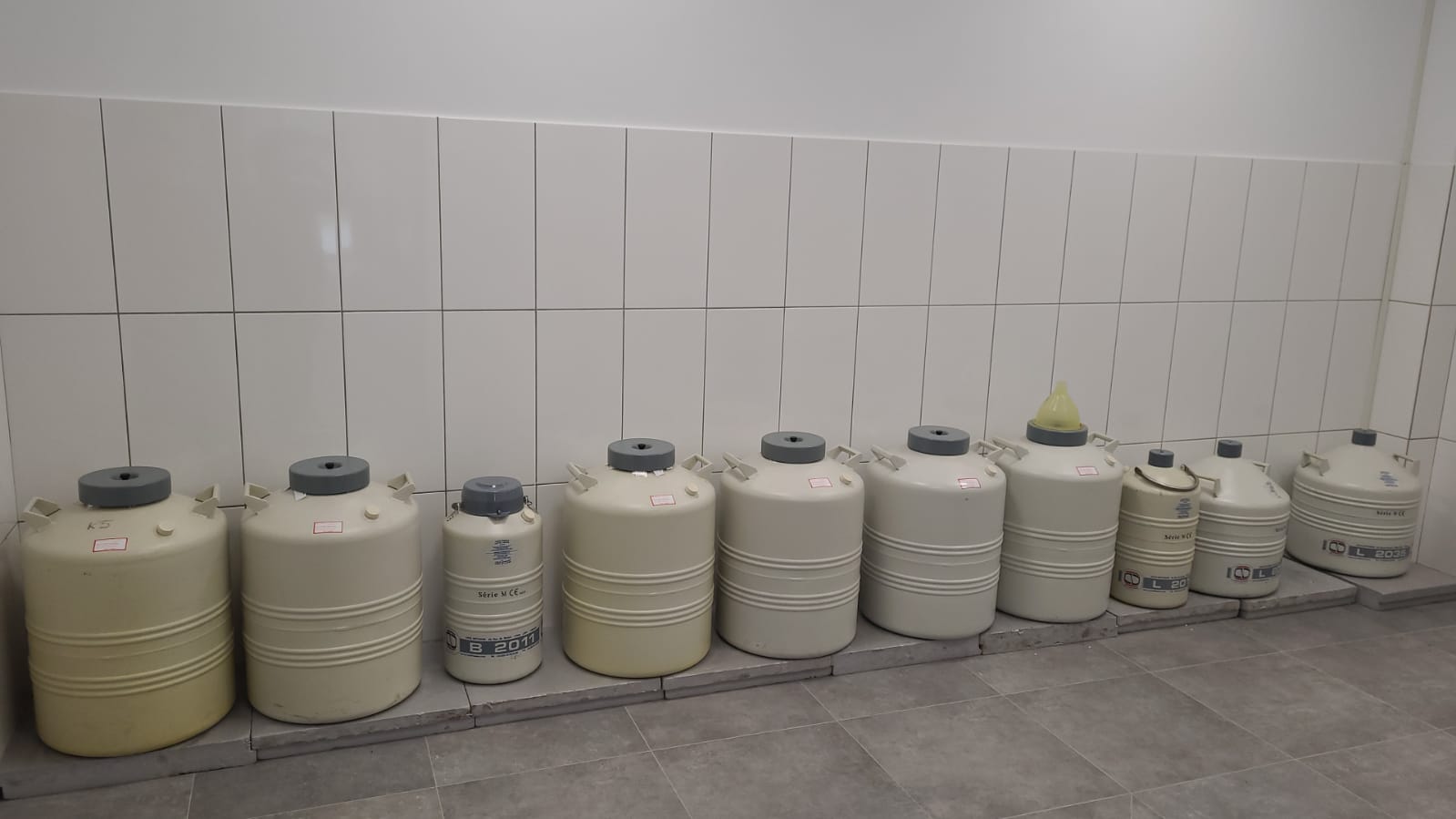 Bank Nasienia Ryb Łososiowatych w Wylęgarni Ryb „Dąbie” 