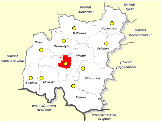 Powiat wielunski