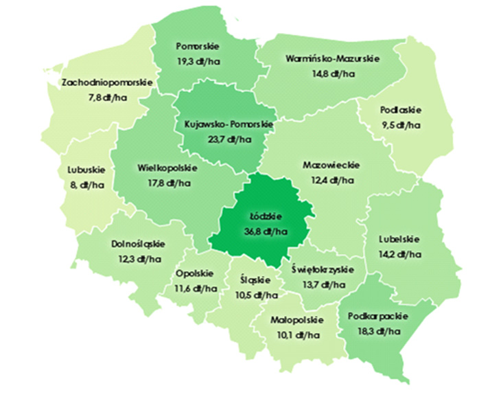 Rys. 2 Średnia wysokość czynszu dzierżawnego uzyskanego w I półroczu 2025 r. (w dt pszenicy/ha) w poszczególnych województwach – średnio 13,6 dt pszenicy/ha