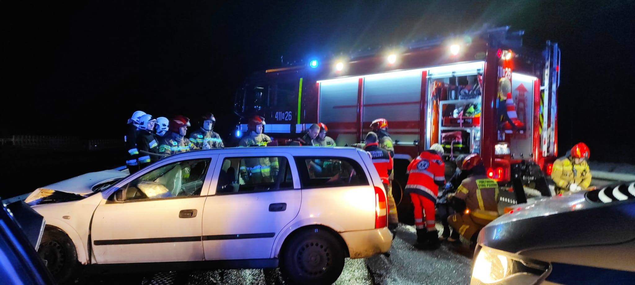 Łoś na drodze. Zderzenie dwóch samochodów na S 22