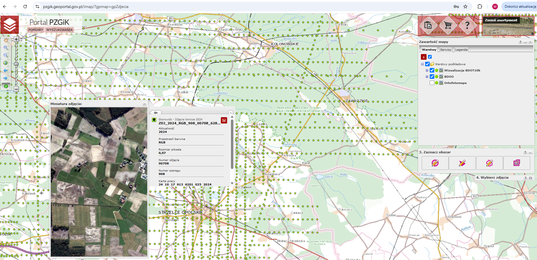 Ilustracja przedstawia zrzut ekranu z portalu pzgik. 