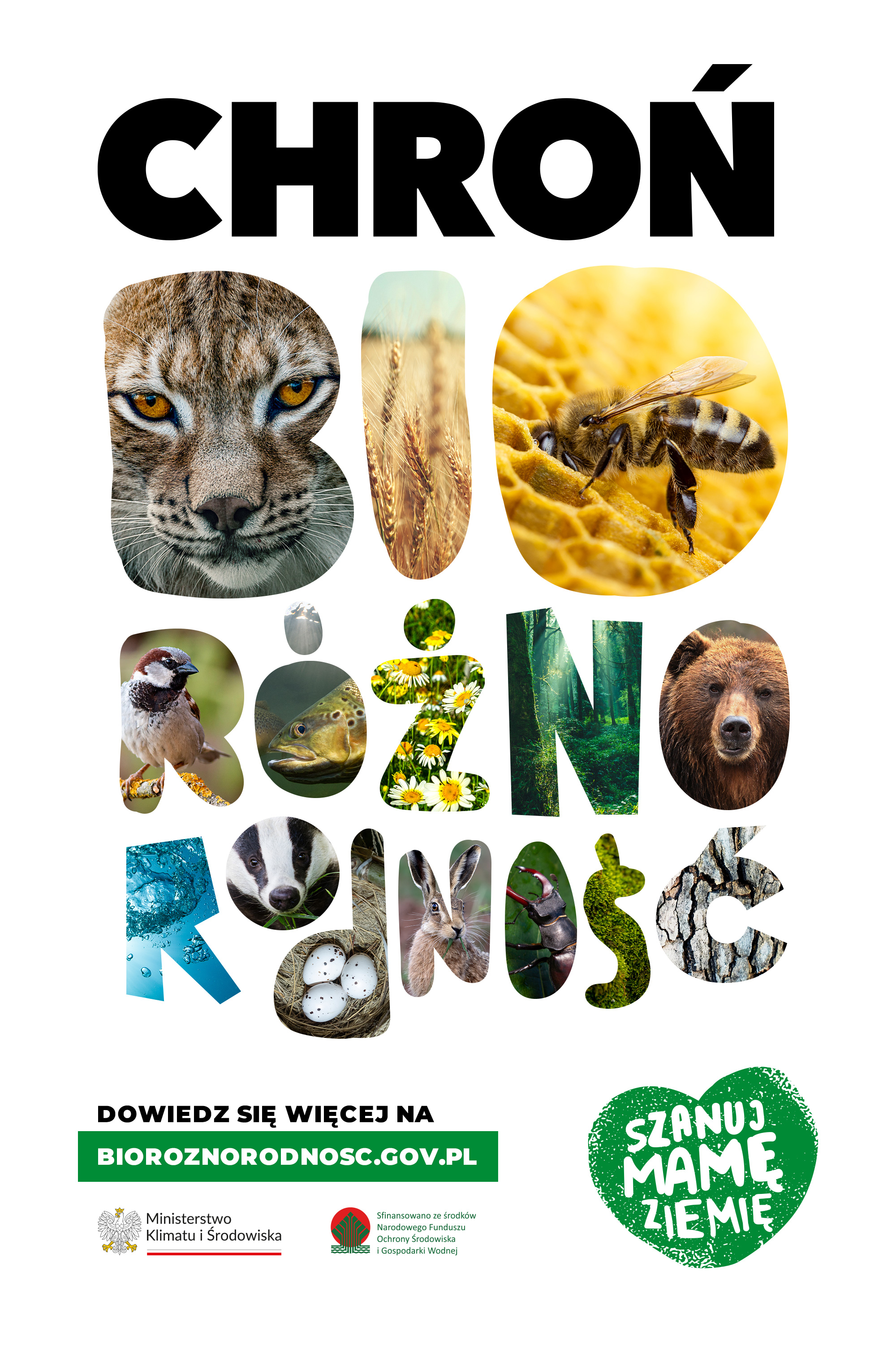 KV kampanii biroznorodnosc