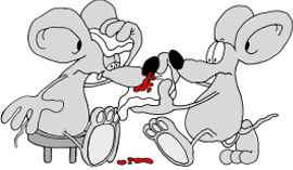 Myszka krew w nosa