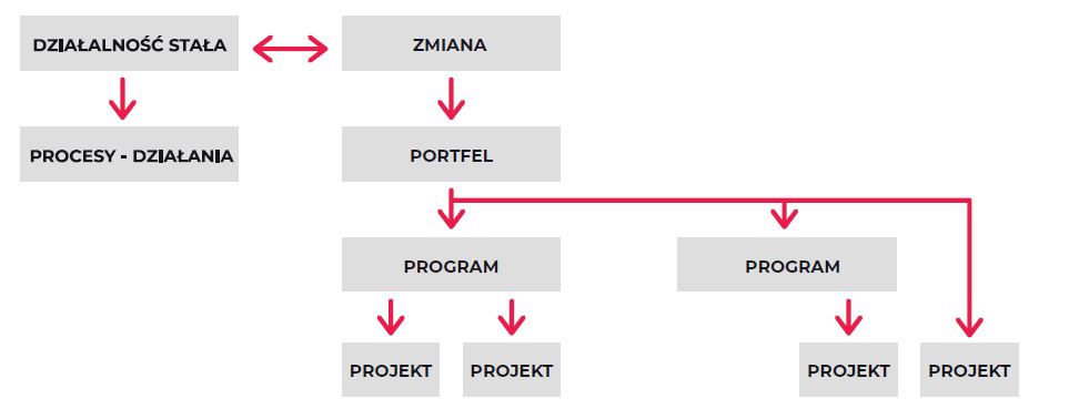 Relacja między działalnością stałą a obszarem zmiany w organizacji