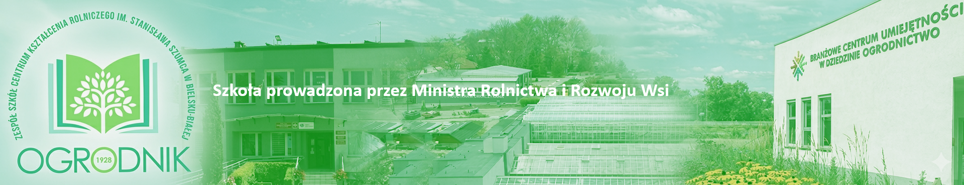 na zdjęciu zestawienie zdjęć