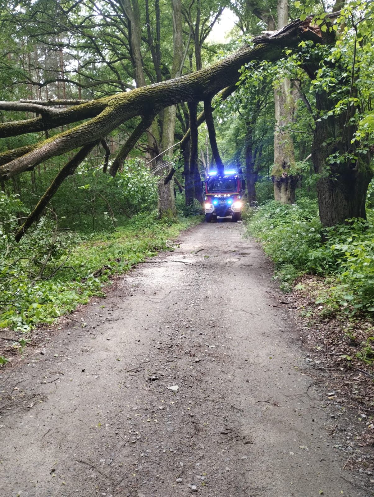 Zmienna pogoda – silny wiatr i gwałtowne opady atmosferyczne