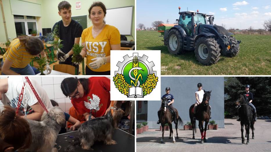 ZAPRASZAMY NA DNI OTWARTE SZKOŁY – 25 MARCA, 21 KWIETNIA i 13 MAJA 2022 ROKU