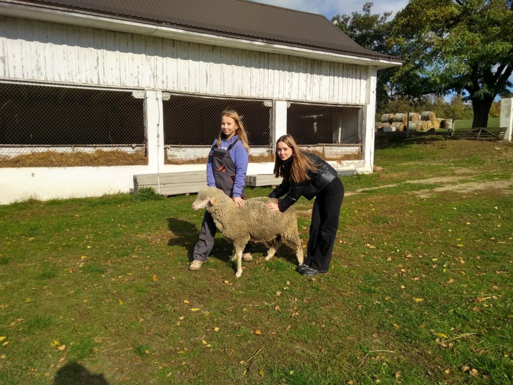 Zajęcia praktyczne w Żelaznej