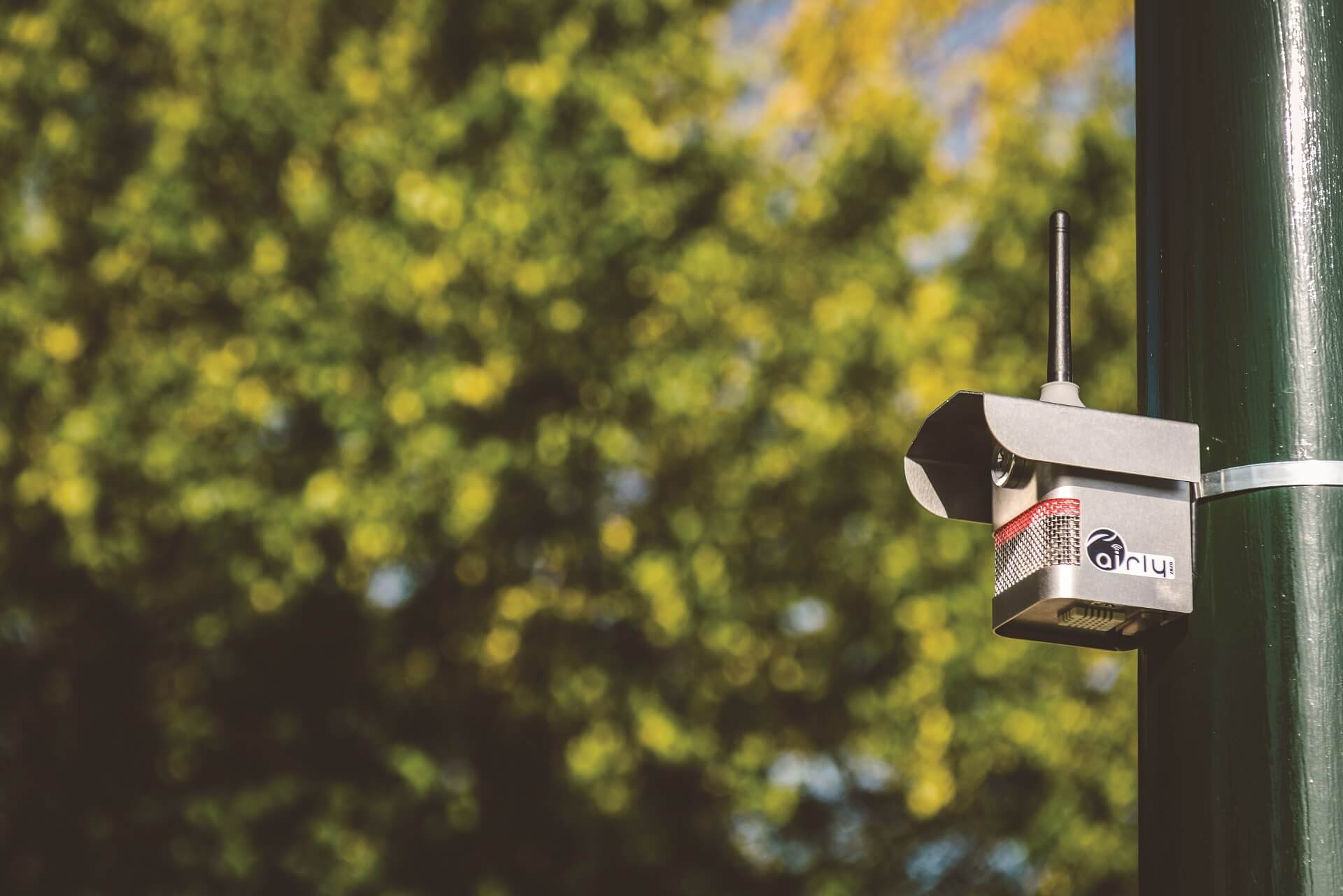 Czujnik AIRLY umieszczony na zielonym słupie, w metalowej obudowie, kształtem przypomina budkę dla szpaków z antenką