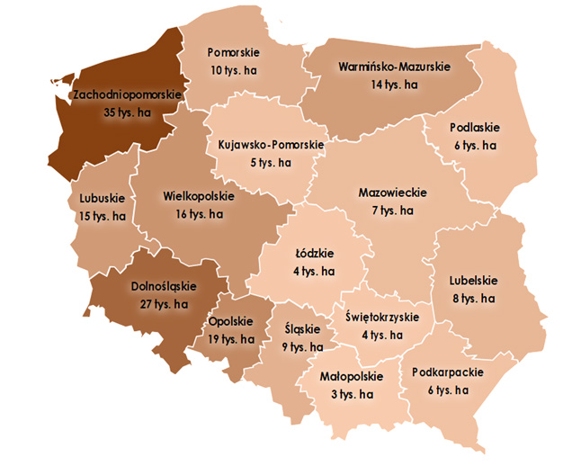 Rys. 3. Grunty do rozdysponowania (188,0 tys. ha) wg stanu na 31 grudnia 2023 r. w podziale na województwa
