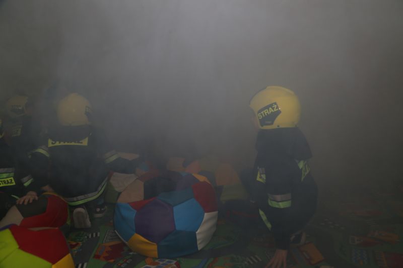 Sala Edukacyjna "OGNIK"