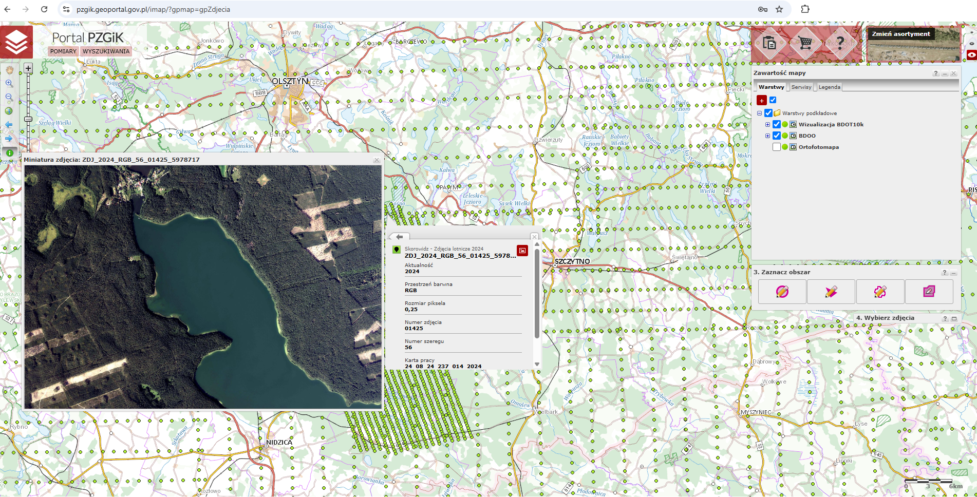 Ilustracja przedstawia zrzut ekranu z portalu pzgik.