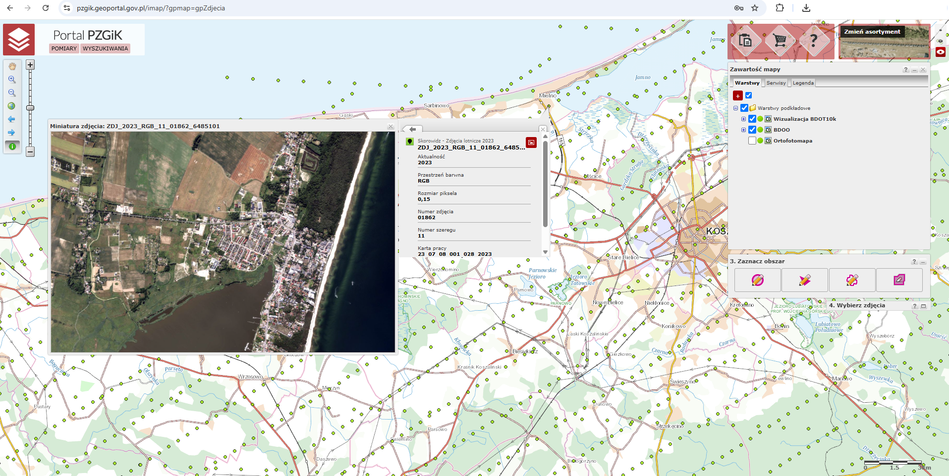 Ilustracja przedstawia zrzut ekranu z portalu PZGiK