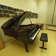 Sala fortepianu