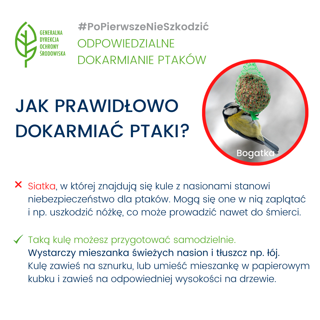 #PoPierwszeNieSzkodzić - odpowiedzialne dokarmianie ptaków