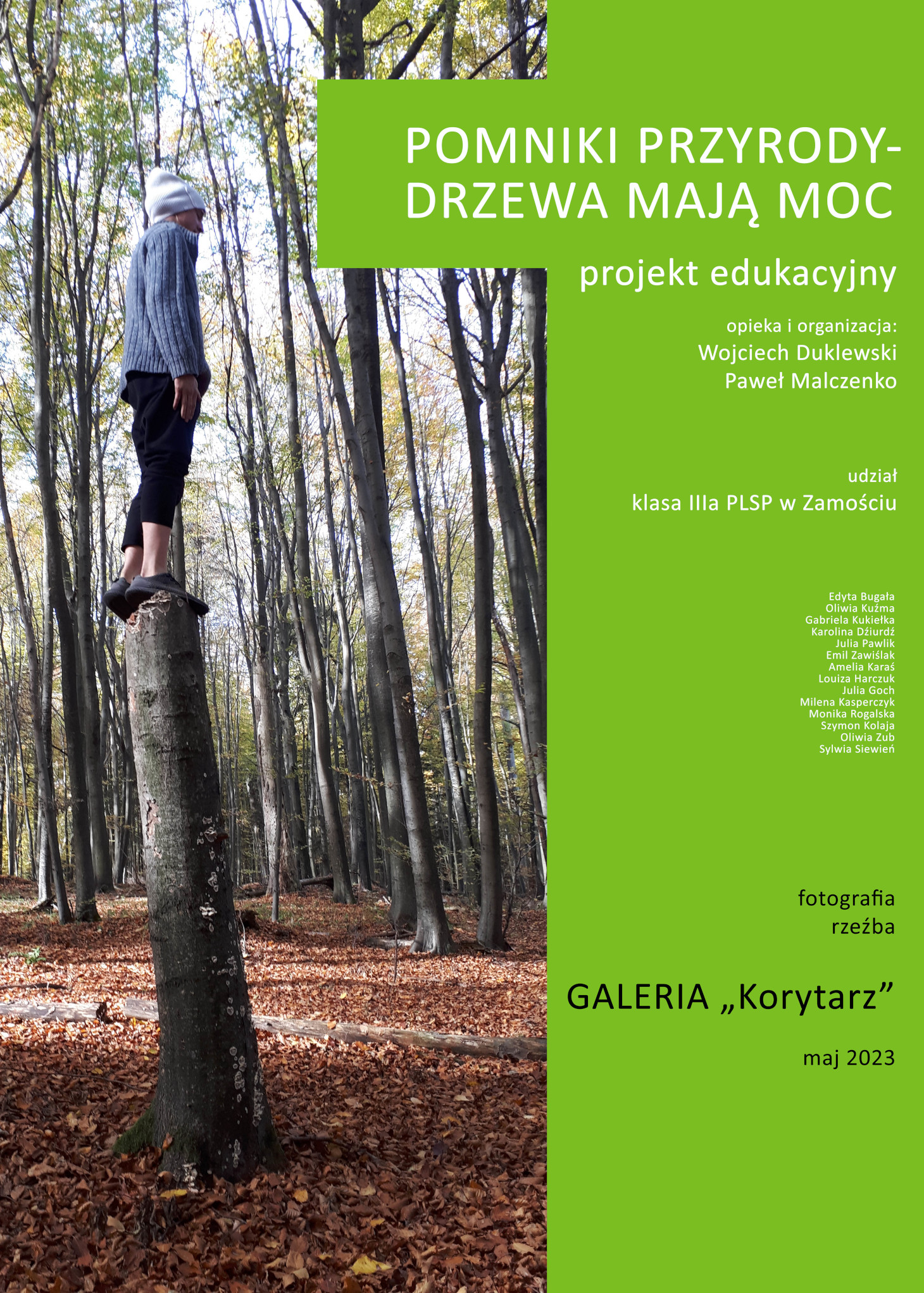Plakat Drzewa Mają Moc