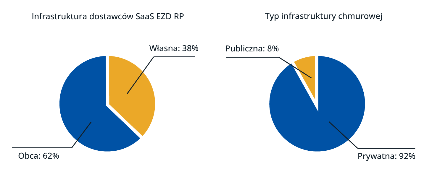 Podział oraz typy infrastruktury dostawców SaaS EZD RP 