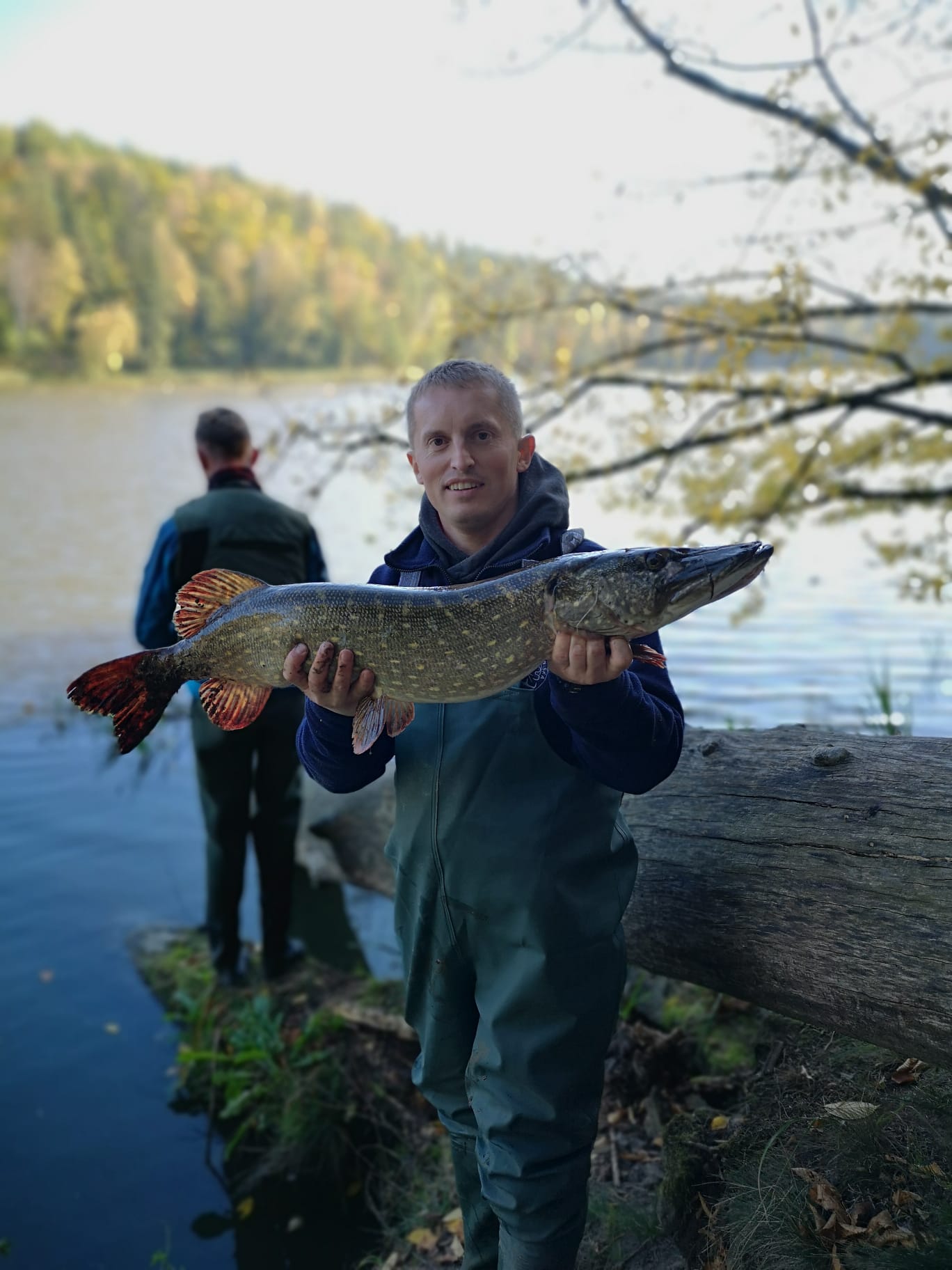 Braniewski drapieżnik