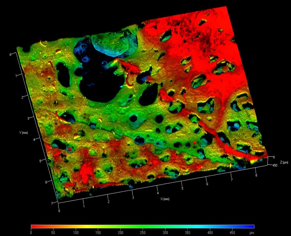 Obraz pianki-opatrunku z mikroskopu konfokalnego – widoczne pory umożliwiające penetrację komórką skóry.

