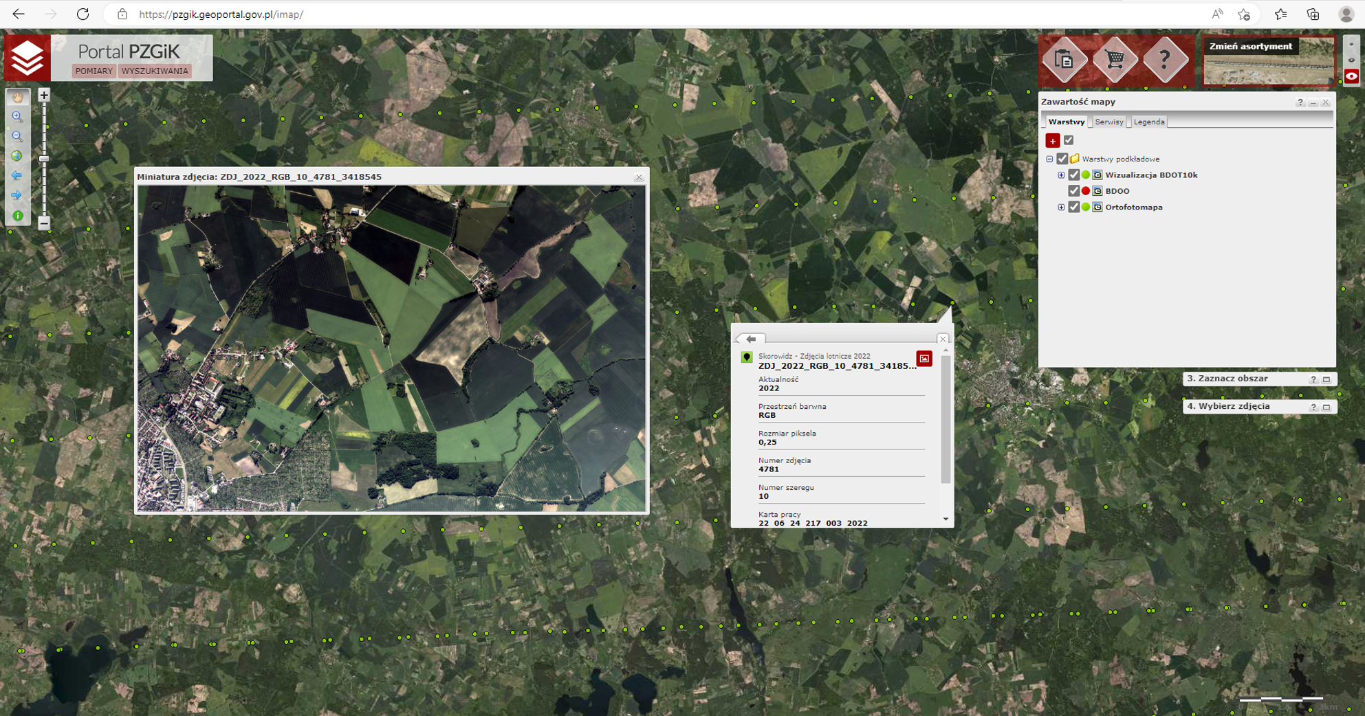 Ilustracja przedstawia zrzut ekranu z Portalu PZGiK
