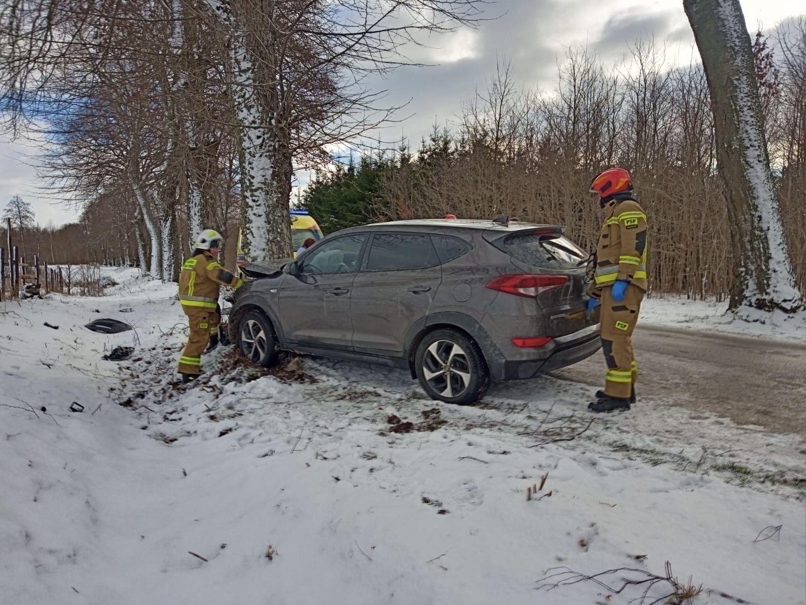 Kierowca uderzył w drzewo - gm. Lelkowo