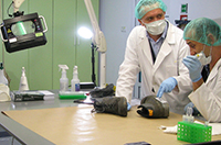 Obrazek symboliczny Pracowni Genetyki Sądowej 