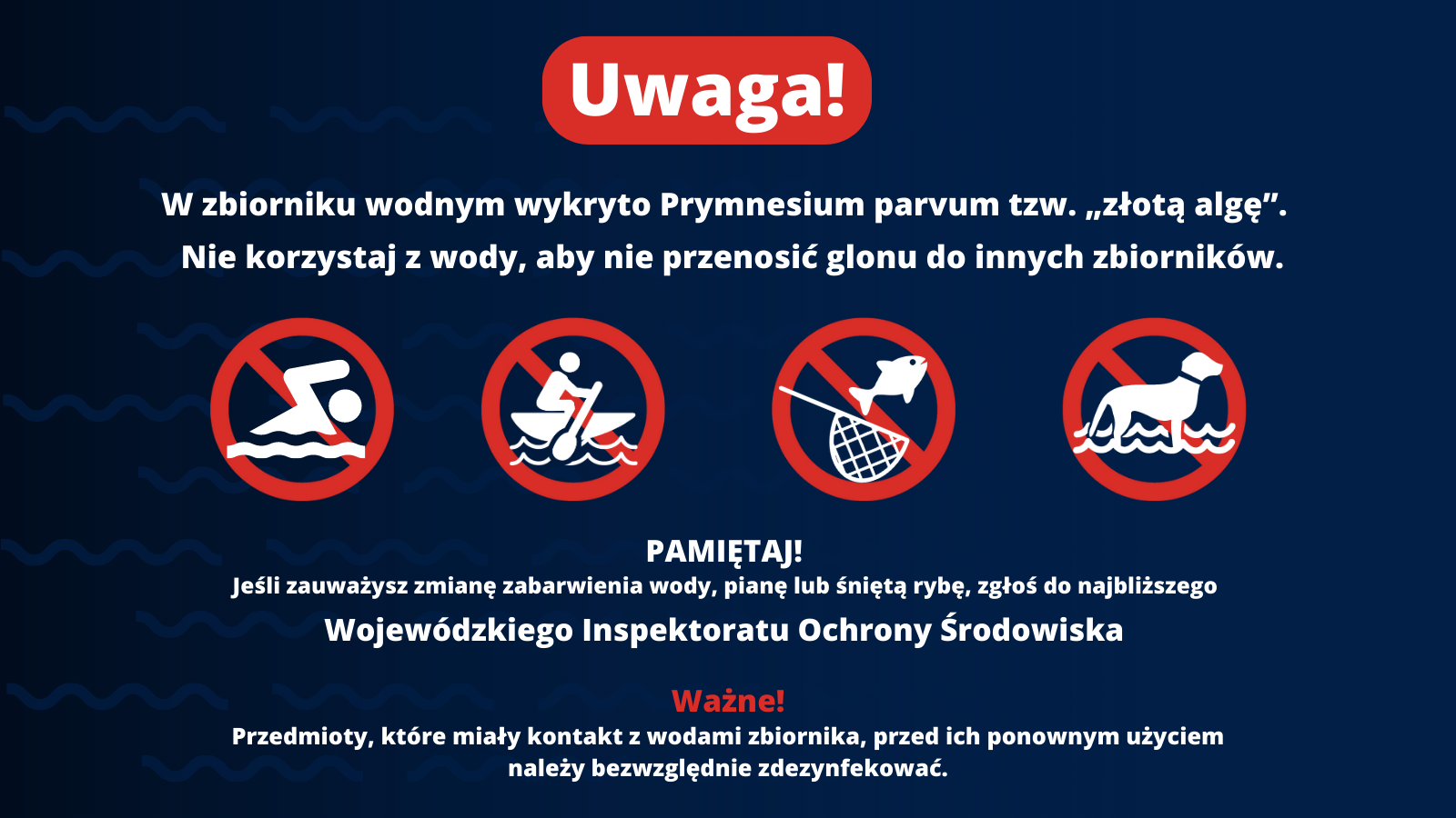 napis ostrzegawczy na grafice: uwaga, w zbiorniku wodnym wykryto złotą algę; nie korzystaj z wody, aby nie przenosić glonu do innych zbiorników; pamiętaj: jeśli zauważysz zmianę zabarwienia wody, pianę lub śniętą rybę zgłoś się do najbliższego wojewódzkiego inspektora ochrony środowiska; przedmioty, które miały kontakt z wodami zbiornika, przed ich ponownym użyciem należy bezwzględnie zdezynfekować.