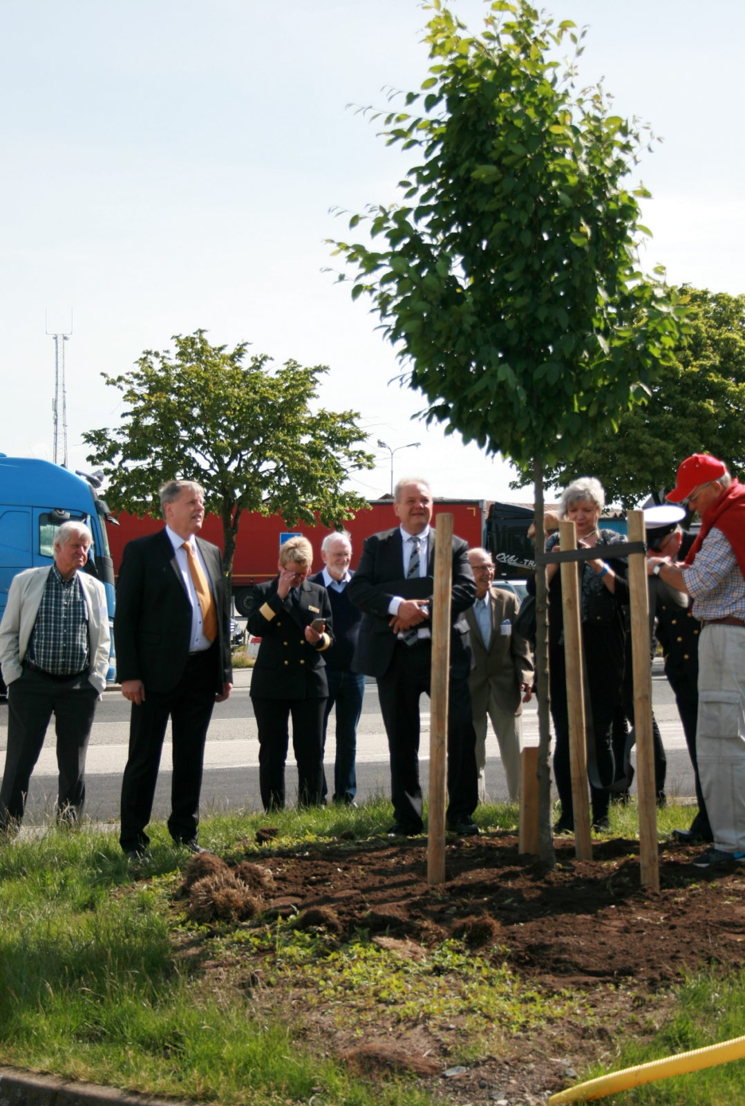 wkopanie okolicznosciowego drzewka_terminal Ystad 22.06.2017