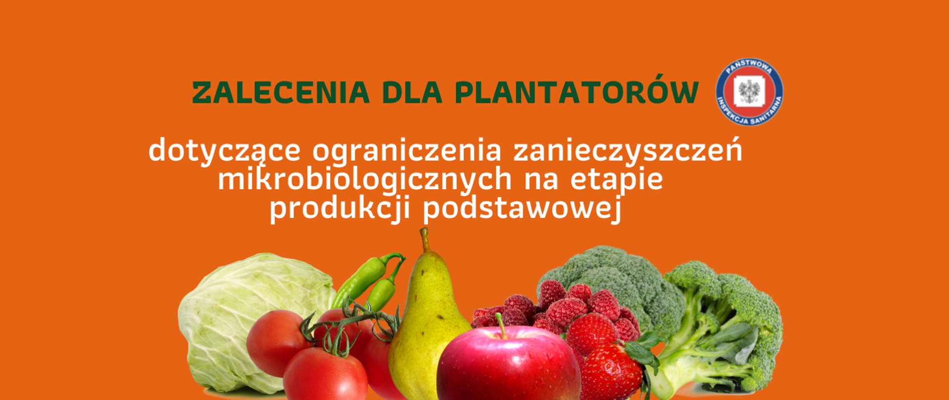 Zalecenia dla plantatorów dotyczące ograniczenia zanieczyszczeń mikrobiologicznych na etapie produkcji podstawowej - logo