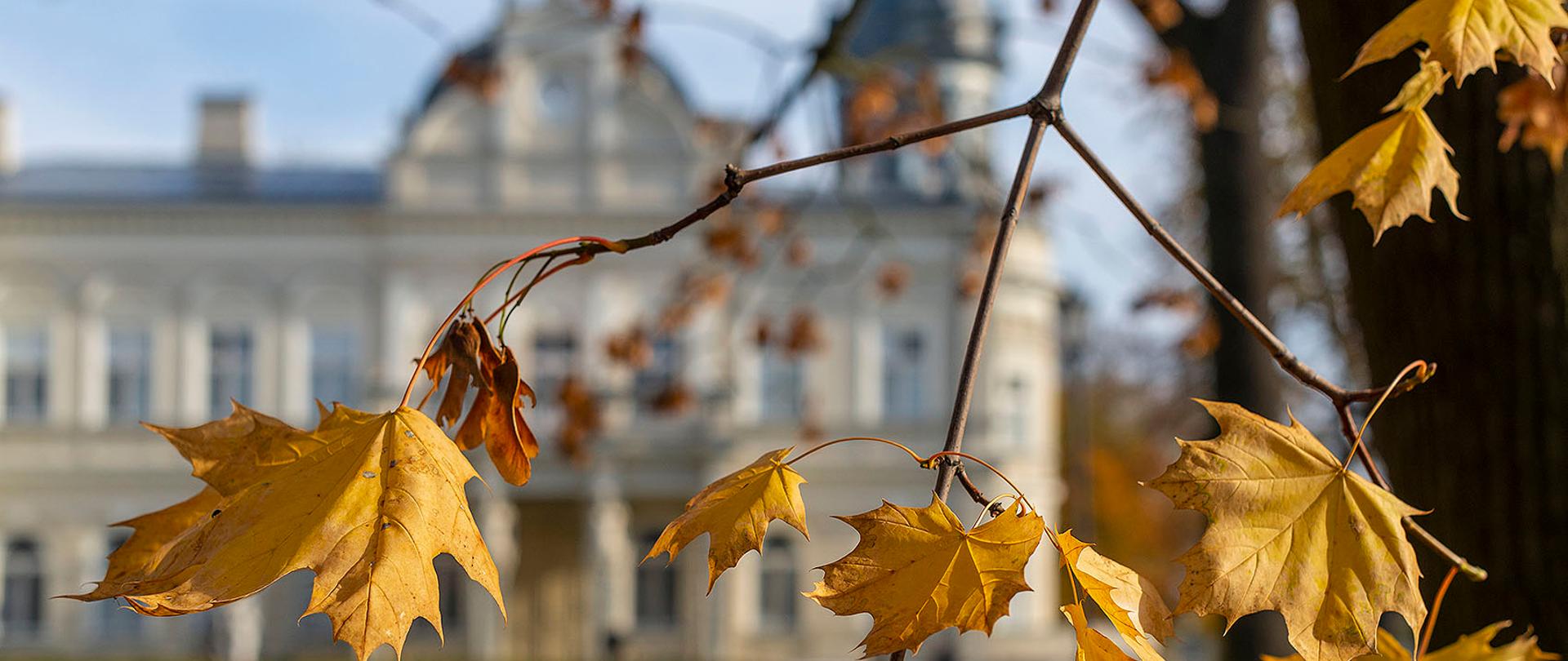 Zdjęcie przedstawiające jesienne liście na tle pałacu.