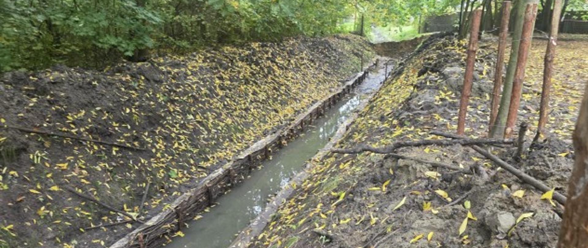 
Bukowa październik 2