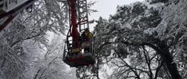 Strażak w koszu podnośnika usuwający nadłamany konar drzewa