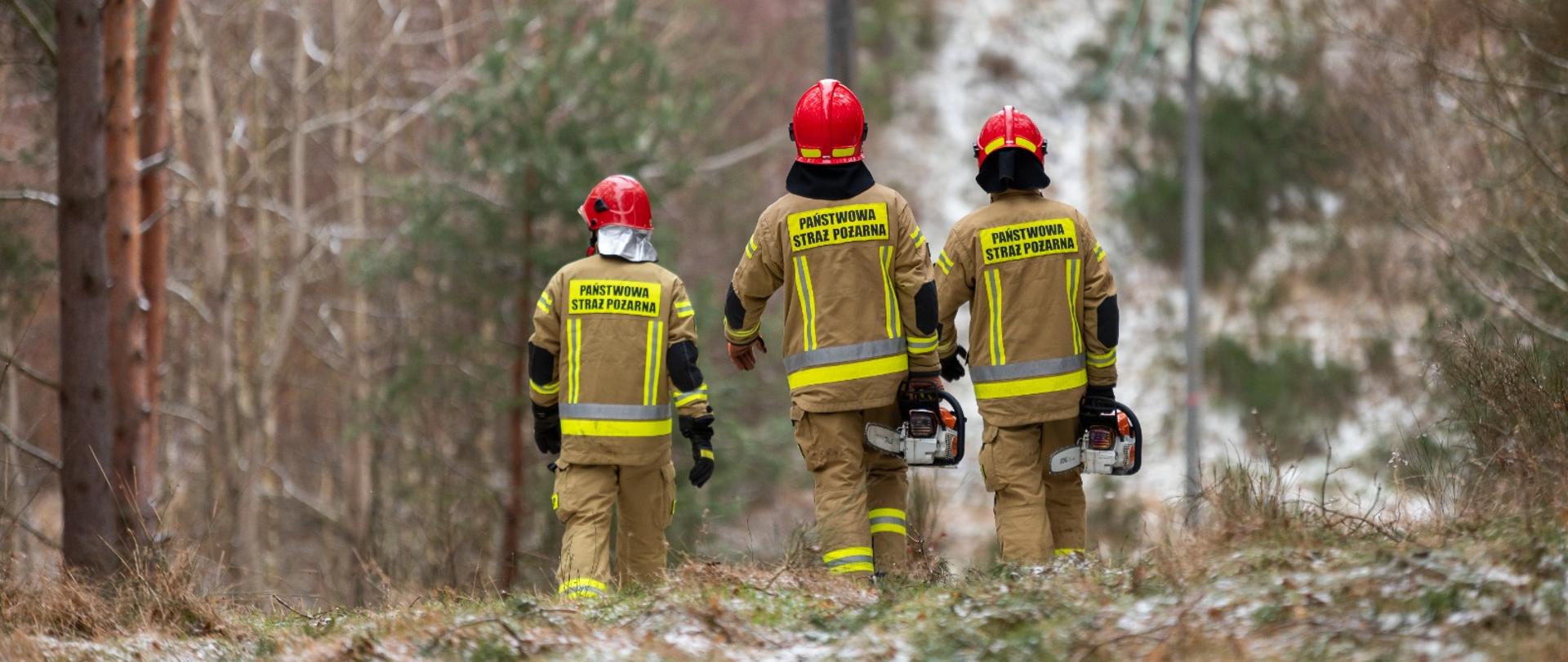 Trzej funkcjonariusze PSP idą z pilarkami do drewna (widok z tyłu) , teren leśny