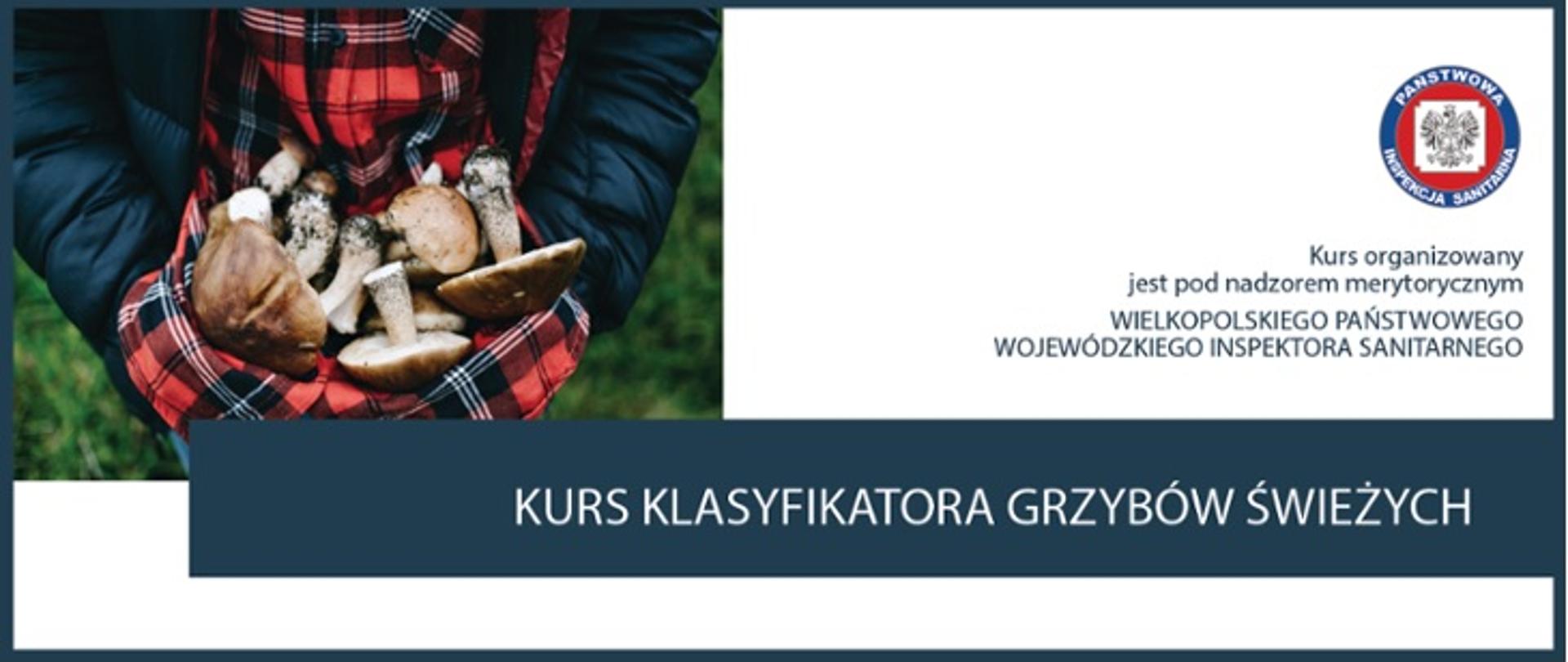Kurs klasyfikatora grzybów świeżych 